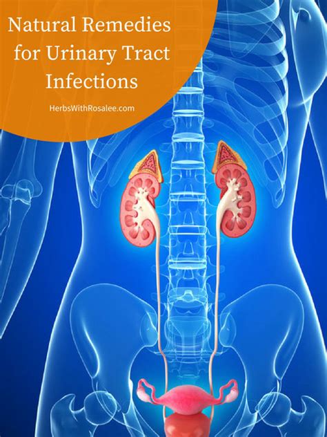 Urinary Tract Infection