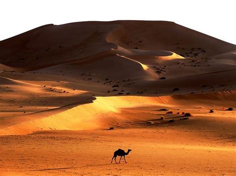 The Grand Erg Oriental: The Beautiful Dunes of Tunisia | TunisiaTV.com