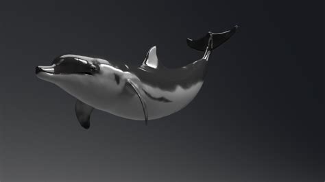 Artstation Dolphin Sculpts Projets Game Assets