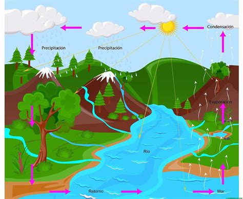 El Ciclo Del Agua Rompecabezas En L Nea