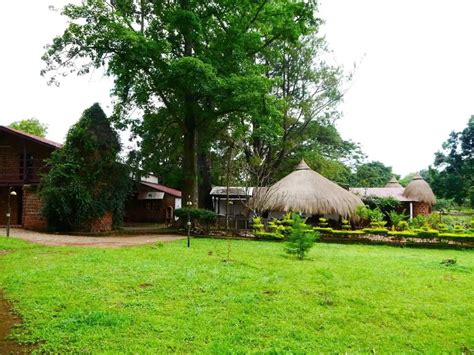 Cameroun Le Ranch De Ngaoundaba Un Havre De Paix En Plein Cœur De La