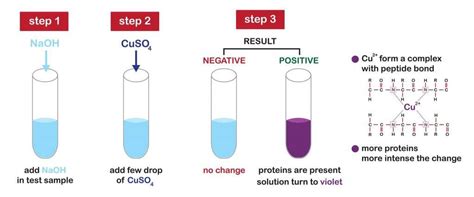 Food Tests Gcse Biology Revision