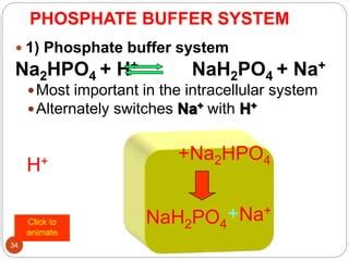 Phosphate Buffer System Equation