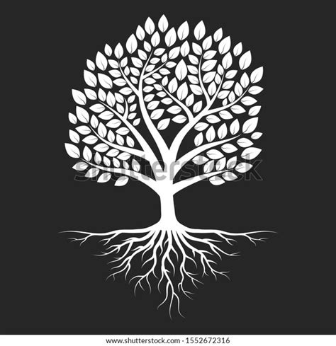 Tree Roots Silhouette Vector Isolated Illustration Stock Vector ...