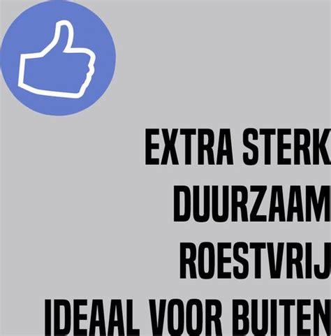 Pictogram Bord Geborsteld Aluminium Stilstaan En Parkeren Verboden