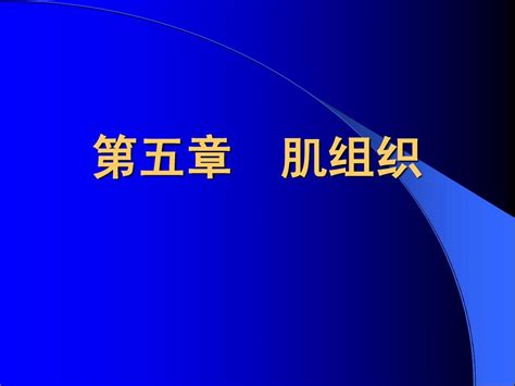 组织胚胎学课件 肌组织word文档在线阅读与下载无忧文档