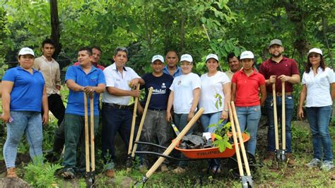 Campa A De Reforestaci N Plantar Millones De Rboles En El Salvador