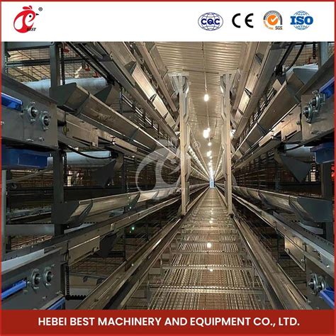 Bestchickencage H Frame Broiler Cages China Cheap Live Chicken Cage