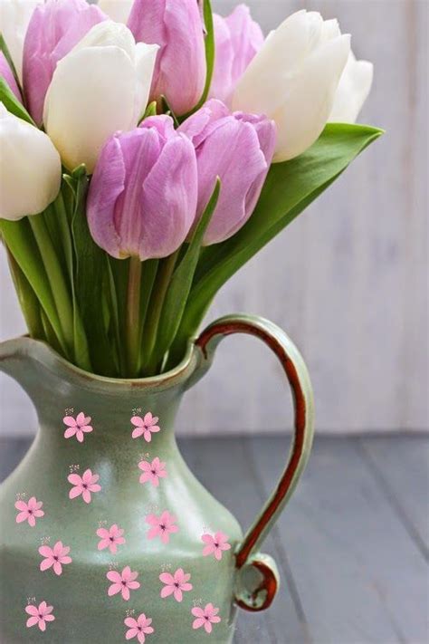 Pin By Ane Castro On Flowers Tulips Tulips Spring Bulbs Flowers