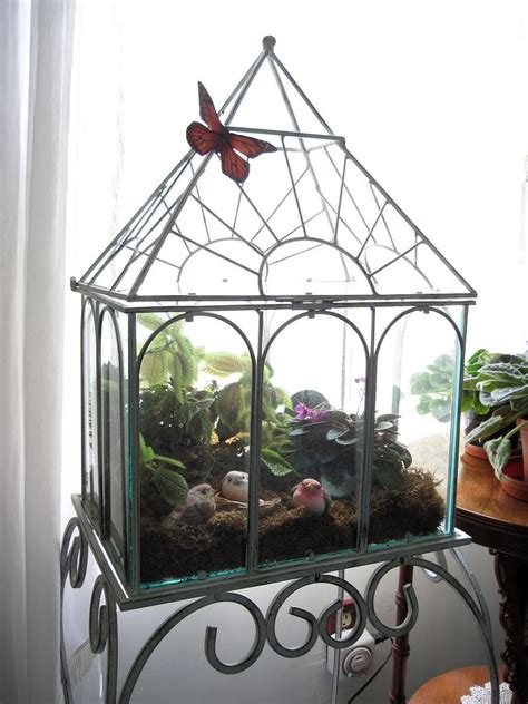 My Wardian Case Flickr Photo Sharing Greenhouse Cost Miniature