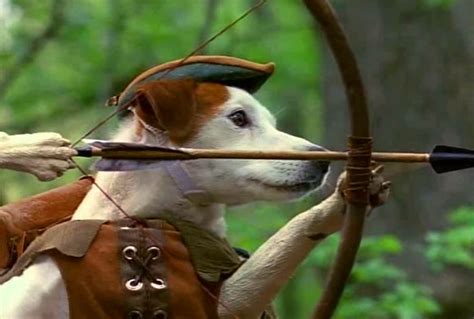 Wishbone Tv Series 90s Raww