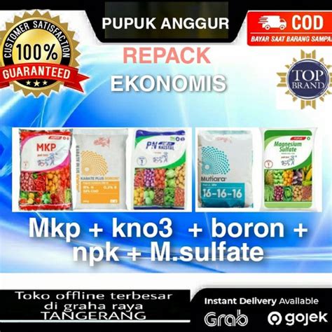 Jual 5 Pupuk Anggur Ekonomis Kemasan Repack Mkp Kno3 Putih Npk Boron