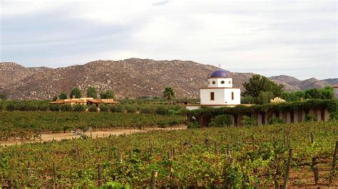 Vinos Mexicanos Premiados En El Mundo En El Top El Souvenir