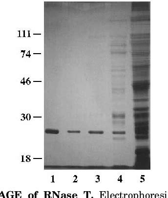 Figure From The Role Of Individual Cysteine Residues In The Activity