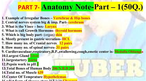 Human Anatomy Short Question Answer Basic Human Anatomy Questions