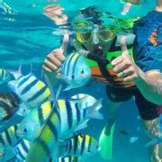 Bali Padangbai Blue Lagoon Snorkeling Day Trip Getyourguide