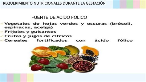 Requerimiento Nutricional Seminario Pptx