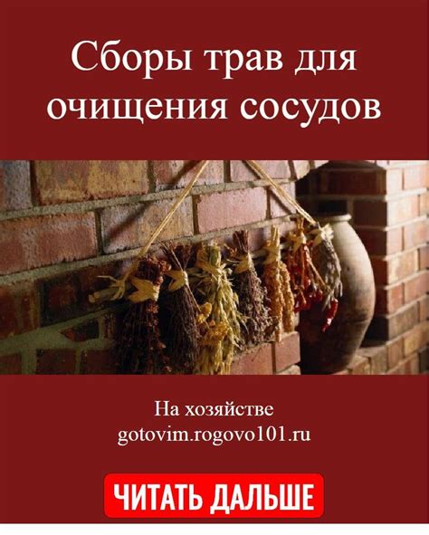Сборы трав для очищения сосудов | Трава, Рецепты, Фитотерапия