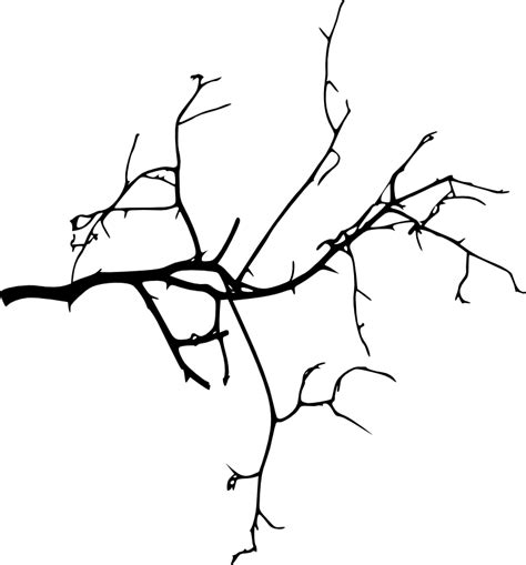 Silhouette Tree Branches at GetDrawings | Free download