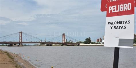 Se Registraron Ataques De Palometas En La Costanera Este El Litoral