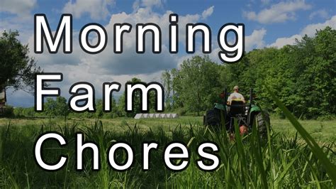 Farm Chores Morning Time Lapse Youtube