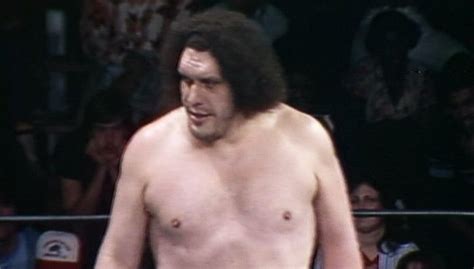 Arn Anderson Says Andre The Giant Was The Only True Giant In Wrestling Recalls Wrestling Him