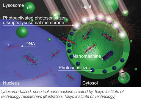 What happens when nanotechnology and gene therapy are paired: Japanese ...