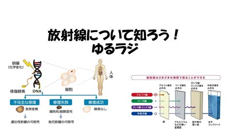 放射線とは！？放射線について知ろう！簡単説明。第1回目は歴史から♪ Youtube