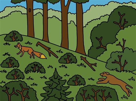 Лиса и собака | Wikids