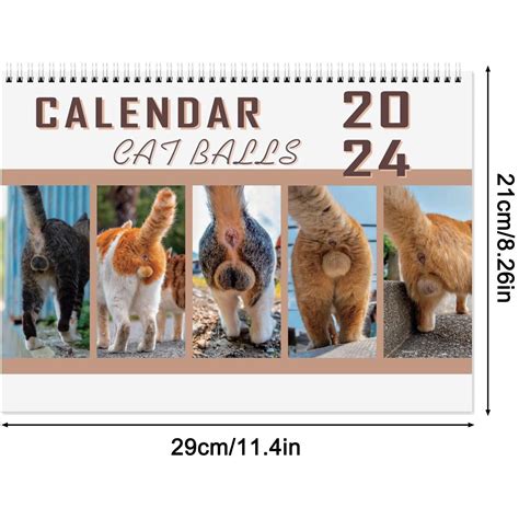 2024 Cats Buttholes Calendar 2024 Funny Cat Grelly UK