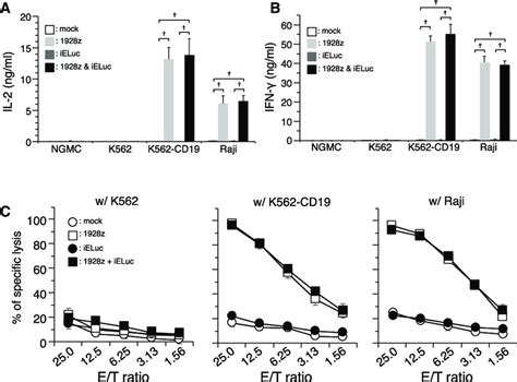 Antigen Specific Cytokine Release And Cell Lysis Activity Of Engineered