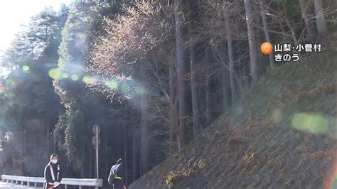 交際相手の男 きょうにも逮捕 山梨 女性遺棄容疑 2023年12月1日掲載 ライブドアニュース