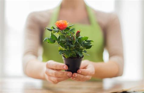 Gente Jardiner A Flores Y Concepto De Profesi N Cierre De Manos De