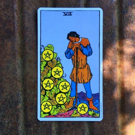 7 Of Pentacles Là Gì Ý Nghĩa Của Lá Bài 7 Of Pentacles Trong Tarot