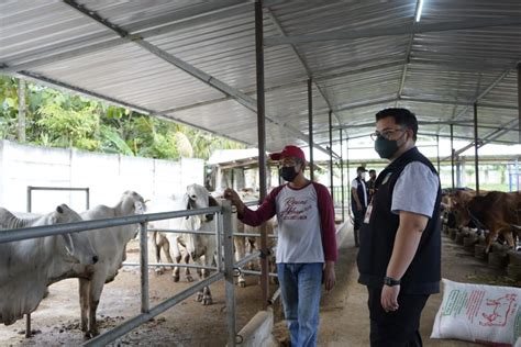 Pemkab Kediri Dorong Pemanfaatan Limbah Kotoran Sapi Untuk Pupuk Dan