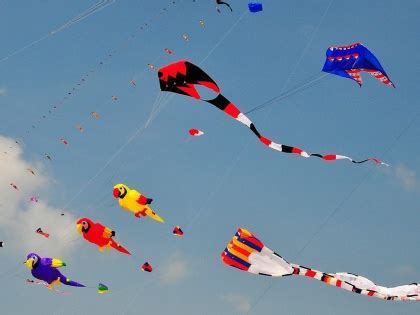 Dos and Don’ts To Follow While Flying Kites During Uttarayan - www ...