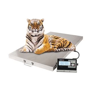 Supply Pet Scale With Large Platform Wholesale Factory - CHANGZHOU ...