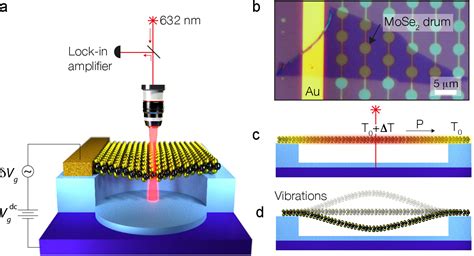 Figure From Optomechanical Measurement Of Thermal Transport In Two