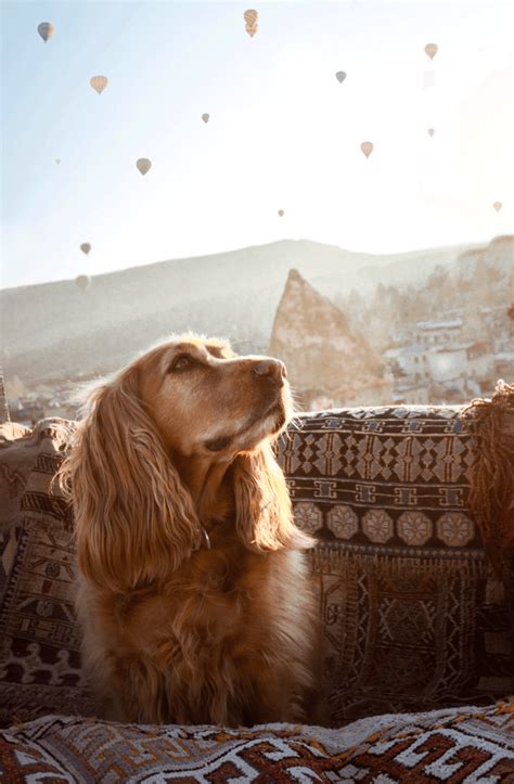 All About Cappadocia Hot Air Balloon Rides + 6 Best Views From the Ground