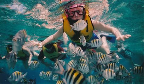 The Best Snorkeling in the Caribbean