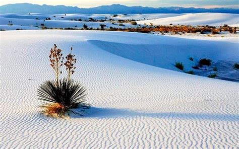 Cuatroci Negas Coahuila Mexico Photo Fanpop