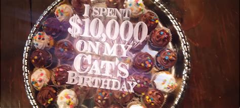 Koo Koo Kanga Roo I Spent 10000 On My Cats Birthday Geek World Order