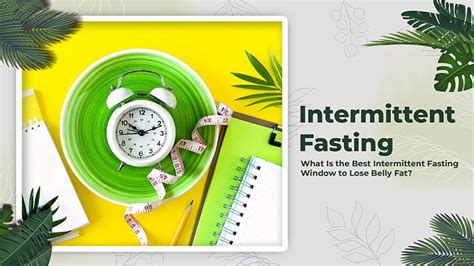 What Is The Best Intermittent Fasting Window To Lose Belly Fat