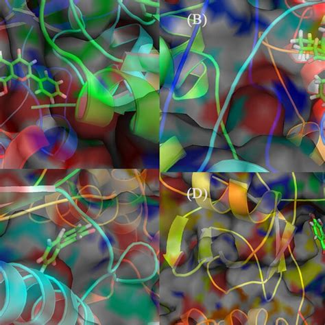 Three Dimensional 3d Representation Of The Protein Ligand Molecular