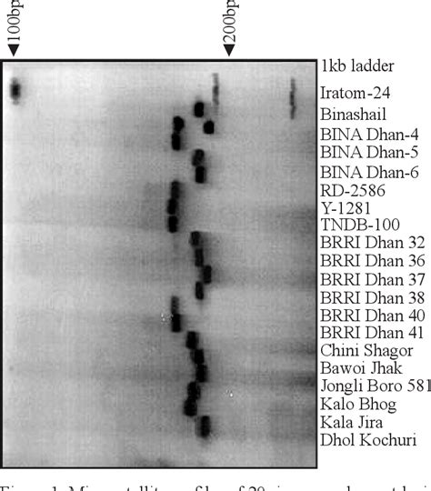 Table From Molecular Marker Based Characterization And Genetic