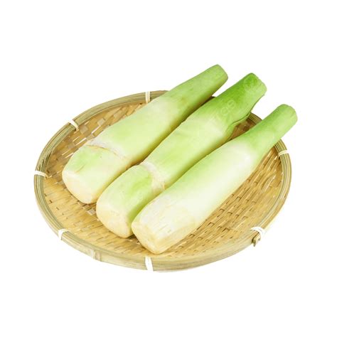 Bamboo Shoot Hd Transparent Green Bamboo Shoot Png Transparent