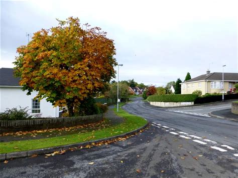 Autumn Tree Georgian Villas Omagh Kenneth Allen Cc By Sa