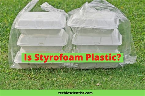 Is Styrofoam Plastic? (Detailed Explanation) - Techiescientist