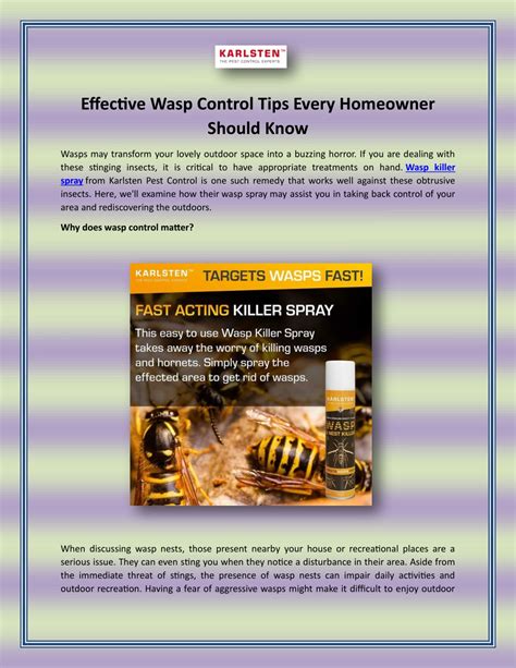 Ppt Effective Wasp Control Tips Every Homeowner Should Know Powerpoint Presentation Id 13084204