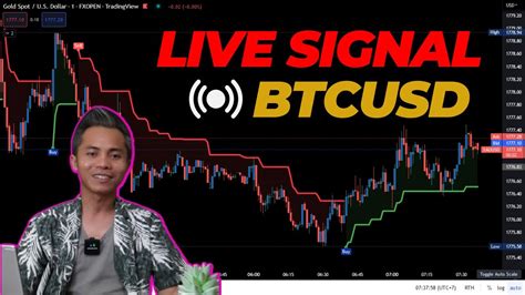 Live Signals Btcusd Lives Signals Forex Best Forex Signals King Jum